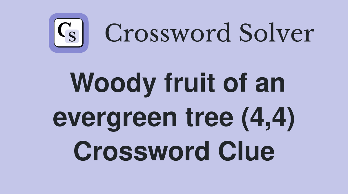 Woody fruit of an evergreen tree (4,4) Crossword Clue Answers
